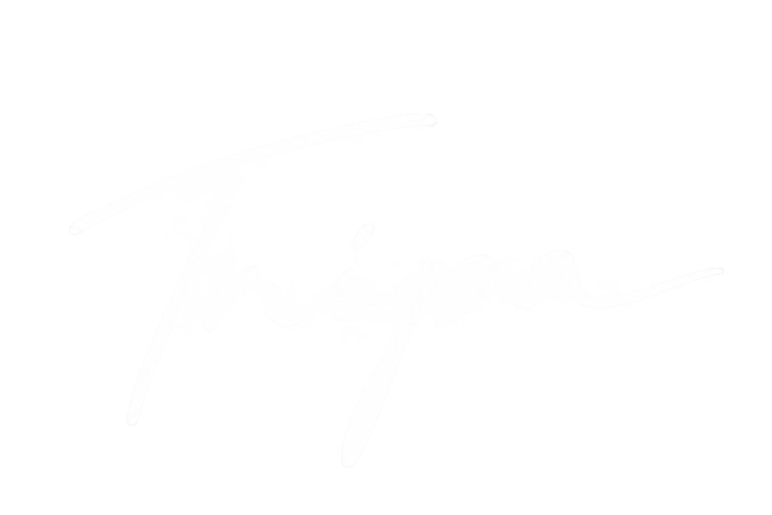 Tripa Logo