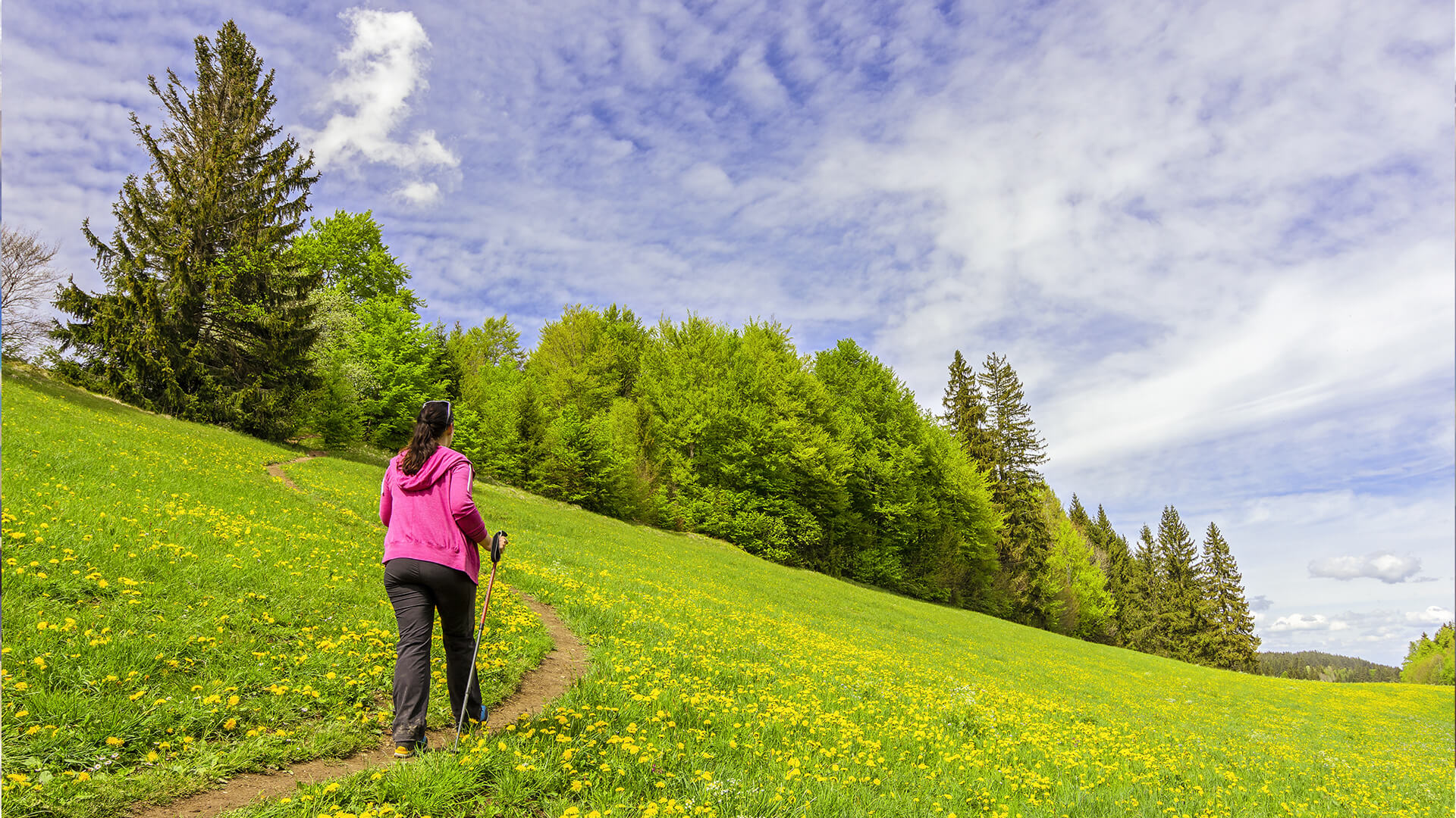 valley-of-flowers-national-park